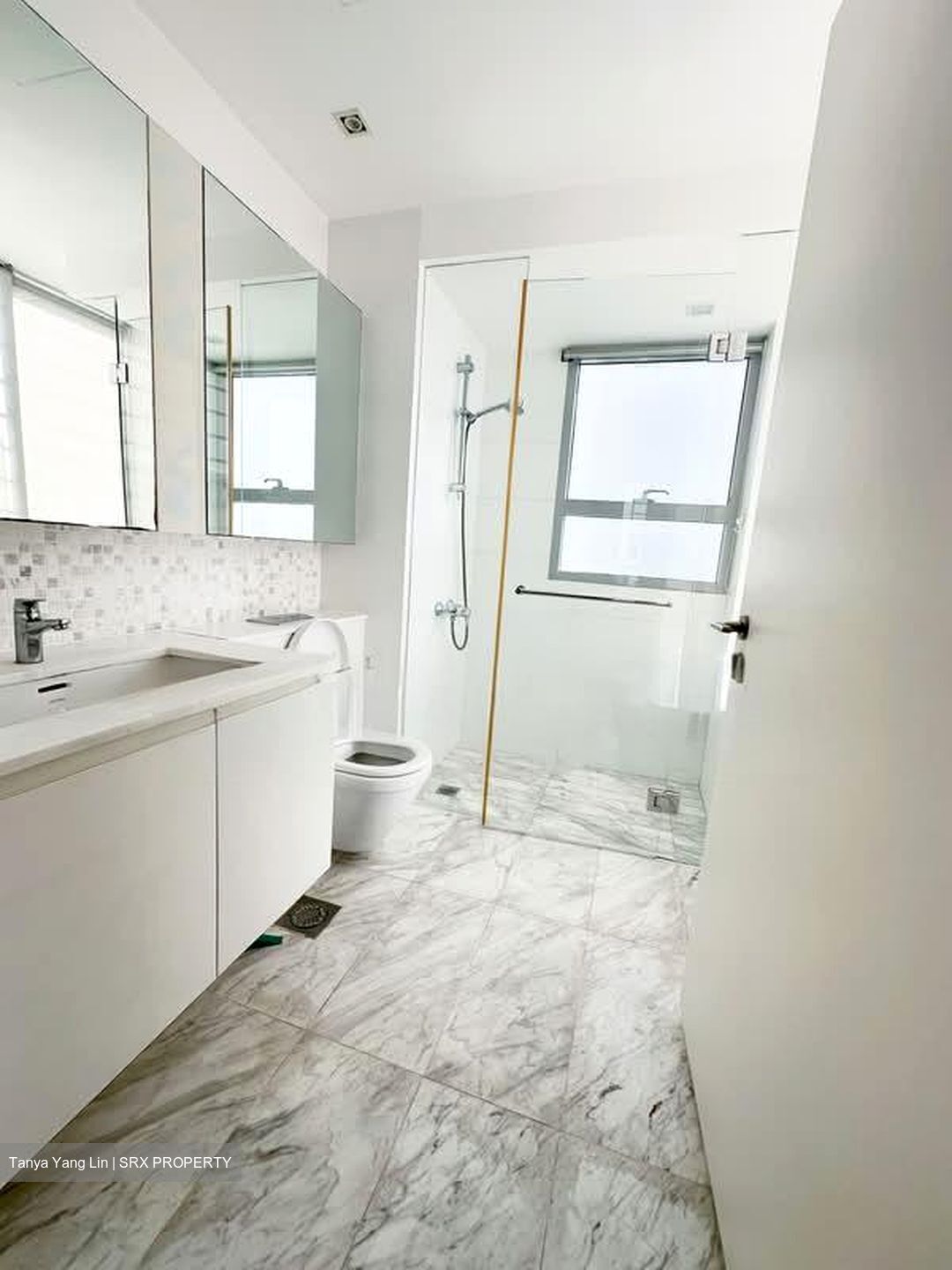 The Minton (D19), Condominium #577614791